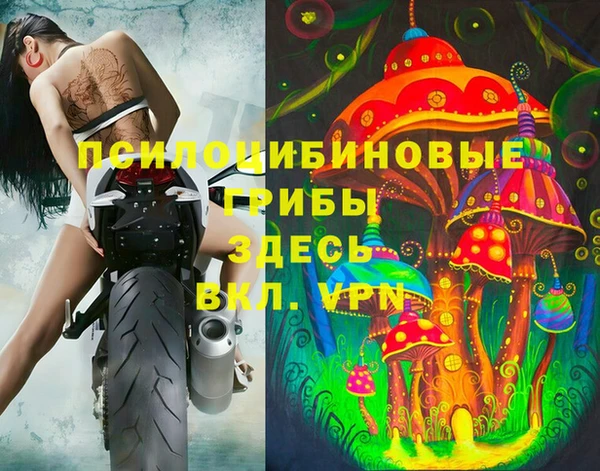 ALPHA PVP Горно-Алтайск