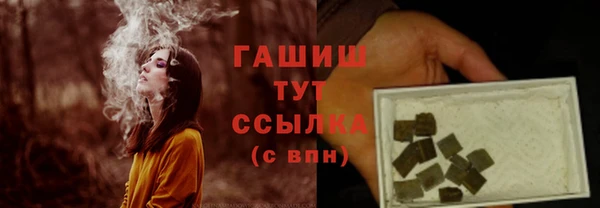 apvp Горняк