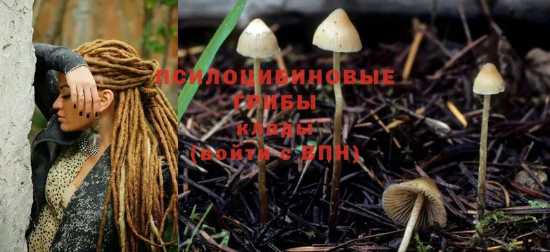 Псилоцибиновые грибы Magic Shrooms  Долинск 