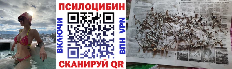 Псилоцибиновые грибы Psilocybine cubensis  Долинск 